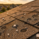 Close-up of hail-damaged asphalt shingles on a Dallas-Fort Worth residential roof showing granule loss